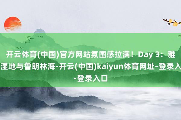 开云体育(中国)官方网站氛围感拉满！Day 3：雅尼湿地与鲁朗林海-开云(中国)kaiyun体育网址-登录入口