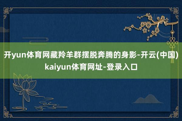 开yun体育网藏羚羊群摆脱奔腾的身影-开云(中国)kaiyun体育网址-登录入口