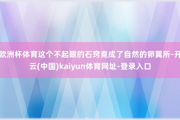 欧洲杯体育这个不起眼的石窍竟成了自然的卵翼所-开云(中国)kaiyun体育网址-登录入口