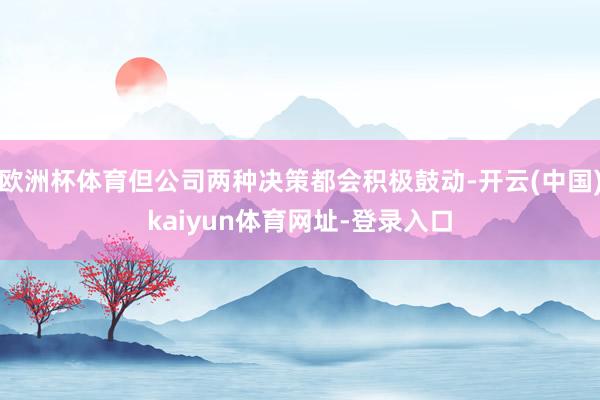 欧洲杯体育但公司两种决策都会积极鼓动-开云(中国)kaiyun体育网址-登录入口