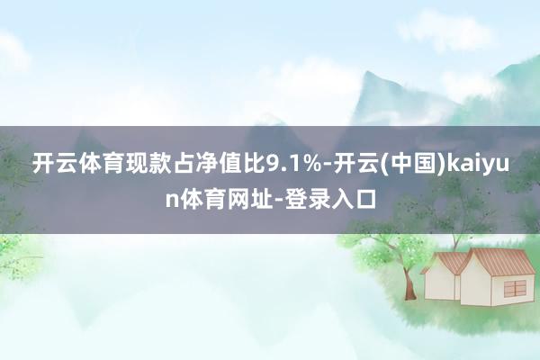 开云体育现款占净值比9.1%-开云(中国)kaiyun体育网址-登录入口