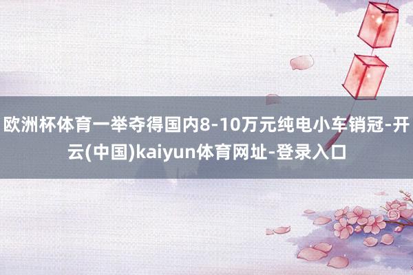 欧洲杯体育一举夺得国内8-10万元纯电小车销冠-开云(中国)kaiyun体育网址-登录入口
