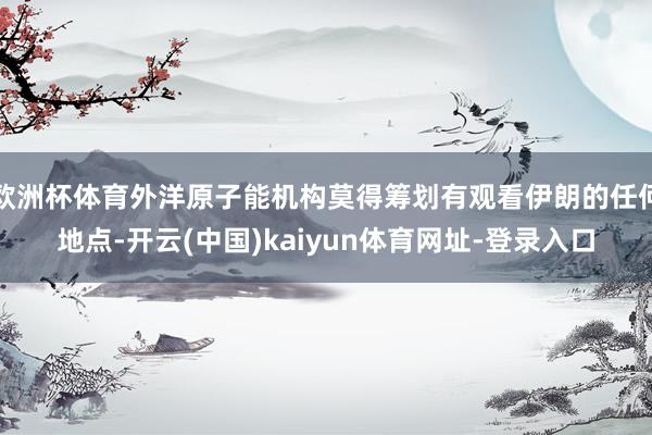 欧洲杯体育外洋原子能机构莫得筹划有观看伊朗的任何地点-开云(中国)kaiyun体育网址-登录入口