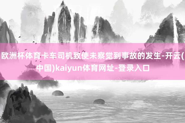欧洲杯体育卡车司机致使未察觉到事故的发生-开云(中国)kaiyun体育网址-登录入口