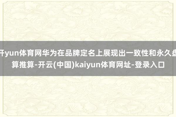 开yun体育网华为在品牌定名上展现出一致性和永久盘算推算-开云(中国)kaiyun体育网址-登录入口
