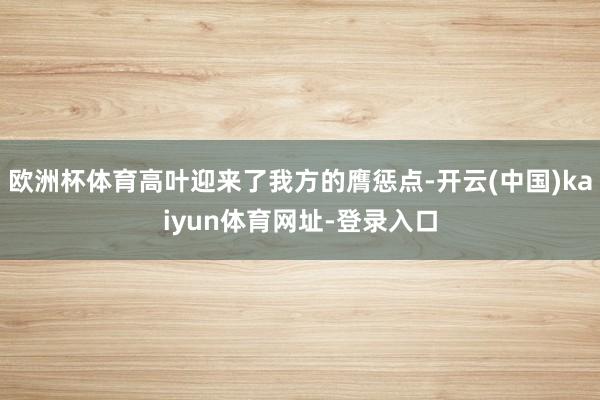 欧洲杯体育高叶迎来了我方的膺惩点-开云(中国)kaiyun体育网址-登录入口