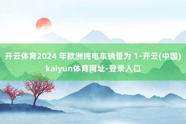 开云体育2024 年欧洲纯电车销量为 1-开云(中国)kaiyun体育网址-登录入口
