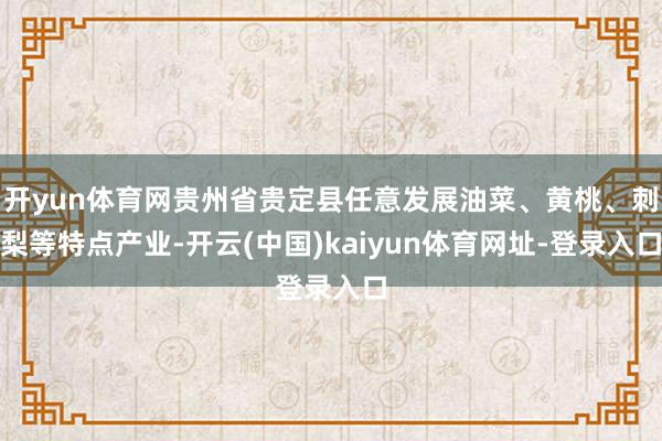开yun体育网贵州省贵定县任意发展油菜、黄桃、刺梨等特点产业-开云(中国)kaiyun体育网址-登录入口