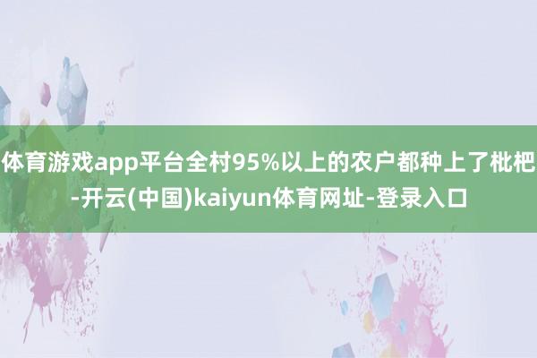 体育游戏app平台全村95%以上的农户都种上了枇杷-开云(中国)kaiyun体育网址-登录入口