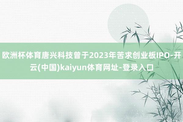 欧洲杯体育唐兴科技曾于2023年苦求创业板IPO-开云(中国)kaiyun体育网址-登录入口