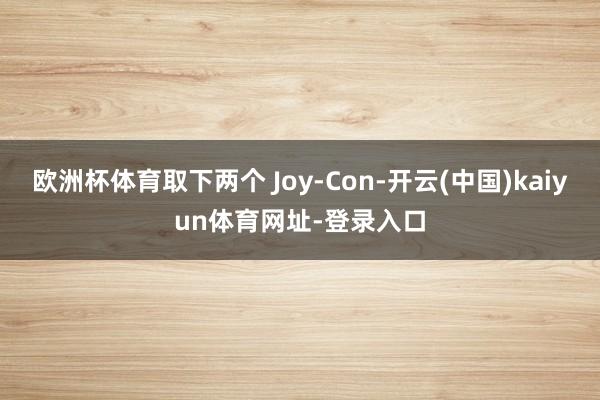 欧洲杯体育取下两个 Joy-Con-开云(中国)kaiyun体育网址-登录入口