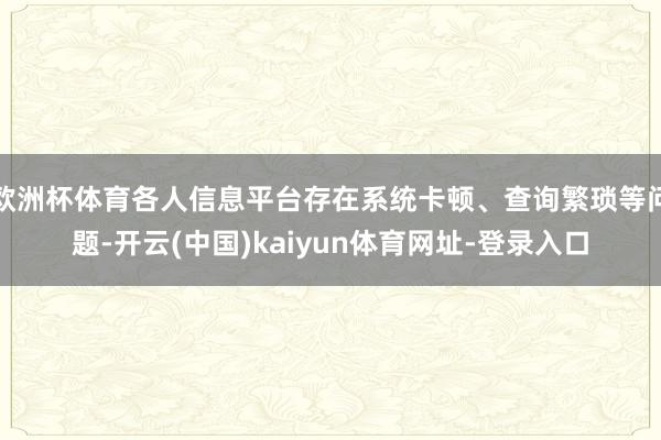 欧洲杯体育各人信息平台存在系统卡顿、查询繁琐等问题-开云(中国)kaiyun体育网址-登录入口
