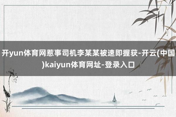 开yun体育网惹事司机李某某被速即握获-开云(中国)kaiyun体育网址-登录入口