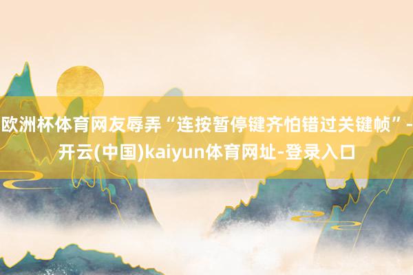 欧洲杯体育网友辱弄“连按暂停键齐怕错过关键帧”-开云(中国)kaiyun体育网址-登录入口