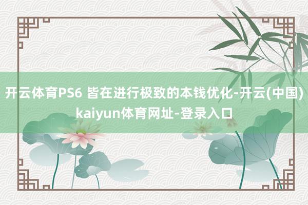 开云体育PS6 皆在进行极致的本钱优化-开云(中国)kaiyun体育网址-登录入口