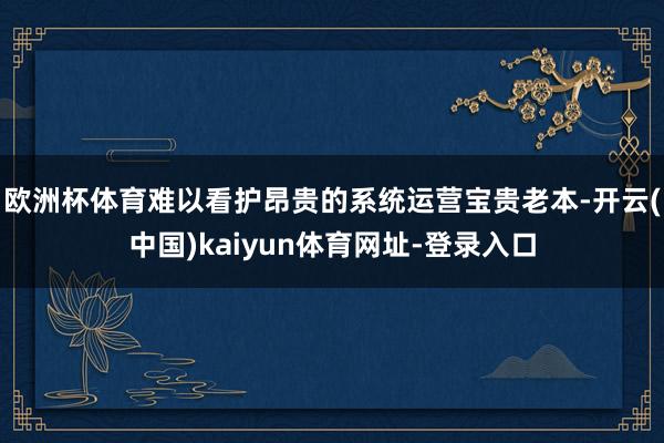 欧洲杯体育难以看护昂贵的系统运营宝贵老本-开云(中国)kaiyun体育网址-登录入口