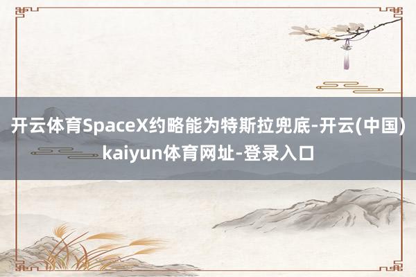 开云体育SpaceX约略能为特斯拉兜底-开云(中国)kaiyun体育网址-登录入口